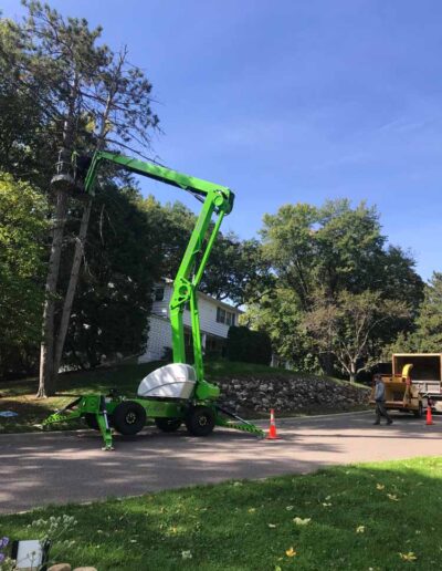 statement tree care crane 1