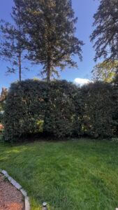 Tonka Bay Tree Care