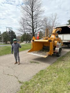 Victoria Tree Care