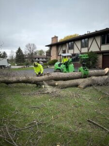 Watertown Tree Care