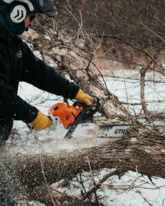 Chanhassen Tree Removal