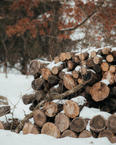 Greenwood MN Tree Care