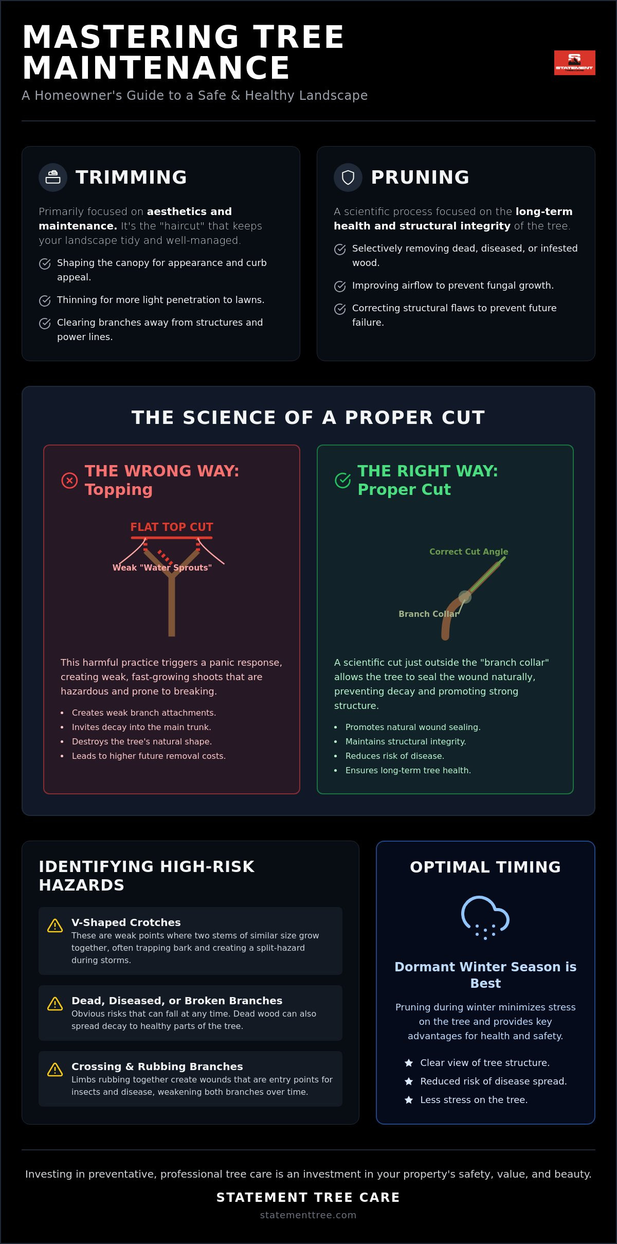 Tree Trimming and Pruning: The Complete Guide to Health and Safety