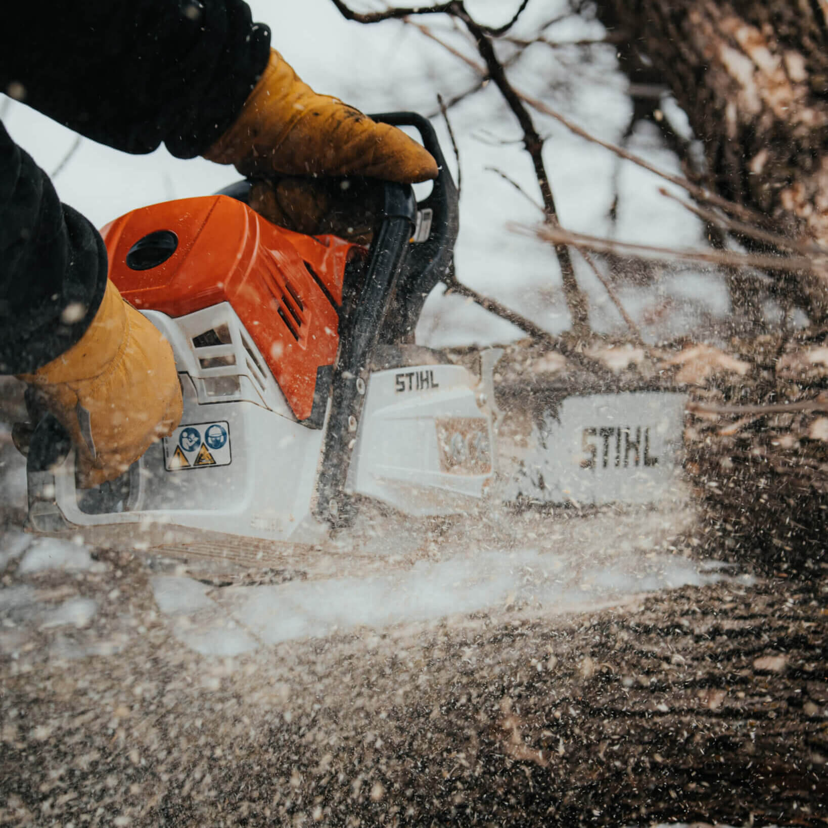 Tonka Bay Tree Care