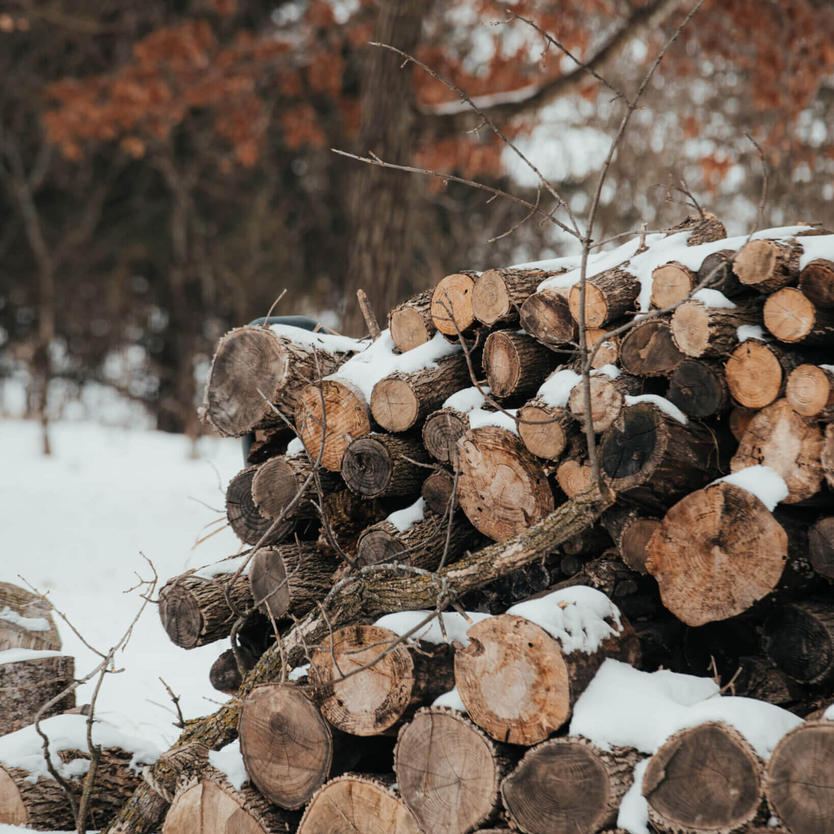 Greenwood MN Tree Care