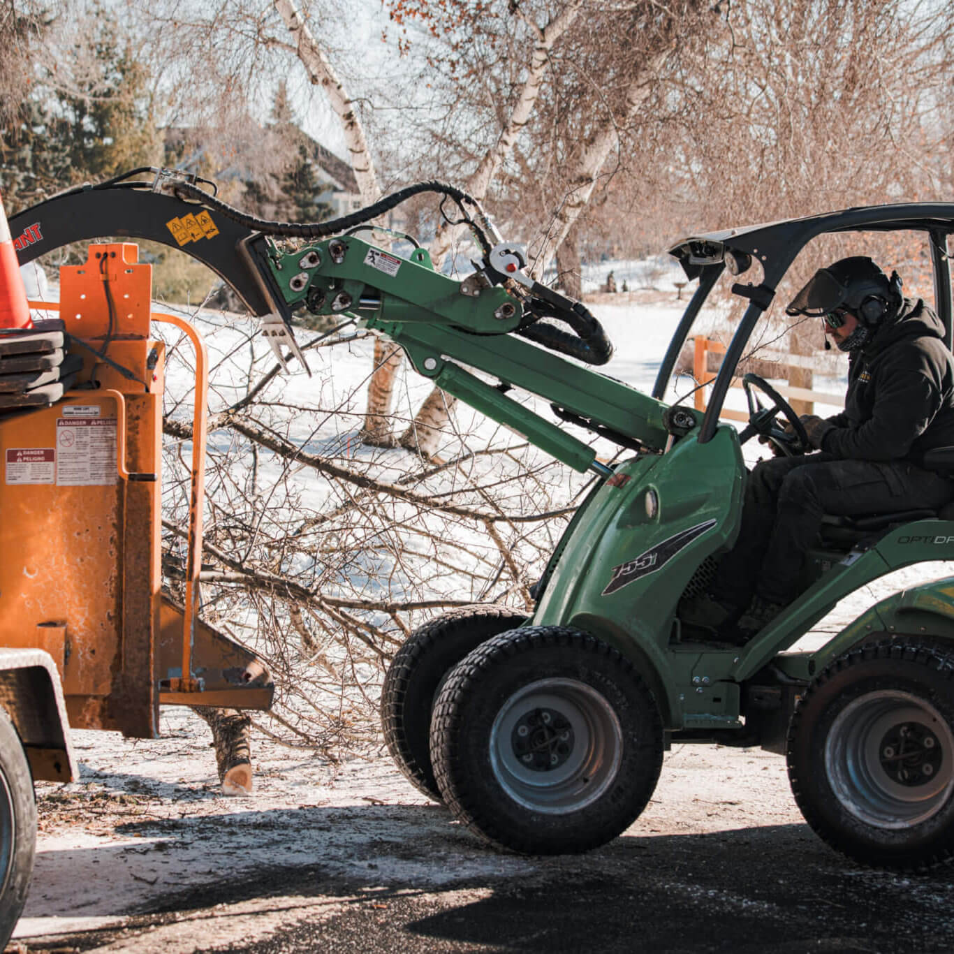 Expert Deephaven Tree Care for Homes and Businesses