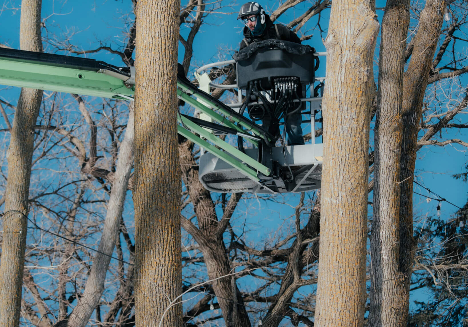 Chaska MN Tree Service & Removal
