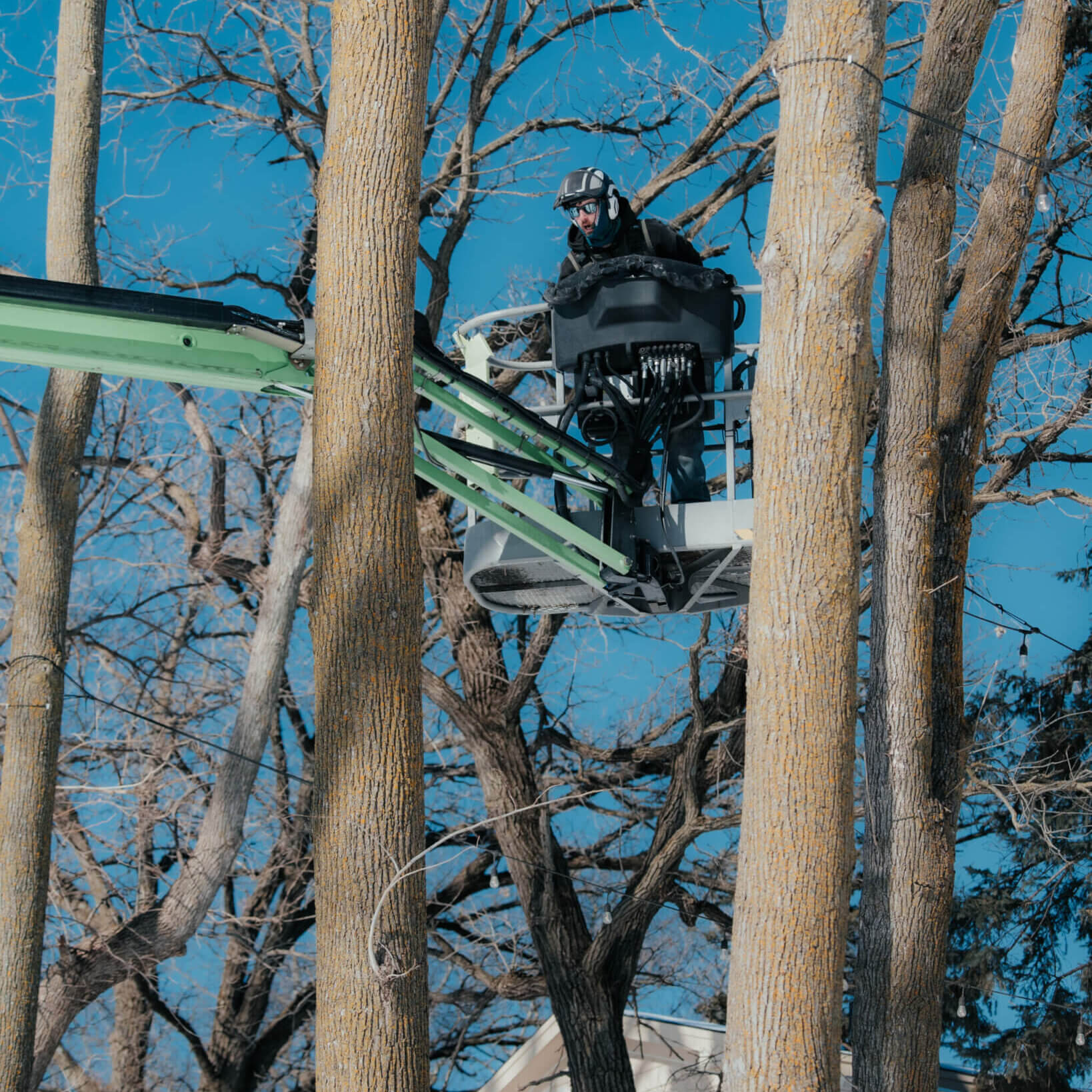 Tree Care in Eden Prairie